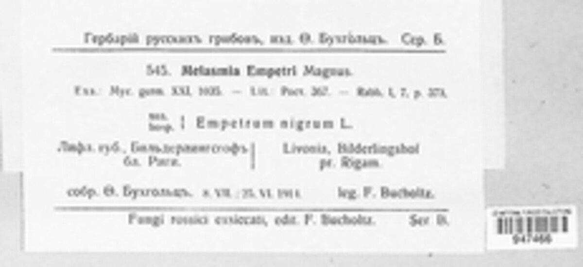 Melasmia image
